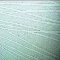 Plastic Fabrication | Cnc Laser Cutting | Gold Coast | Plastics Online | Slumped Acrylic Linear